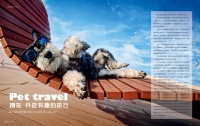 携宠开启有趣的旅行