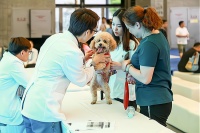 把握宠物社交app市场趋势，开启你的财富之旅！