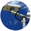 成都宠物盲盒救援者：宠物运走前一天禁水禁食