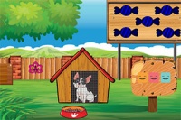 饥饿宠物狗救援