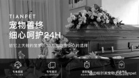 宠物火化一般多少钱？哈尔滨宠物火化黑幕揭秘！建议收藏