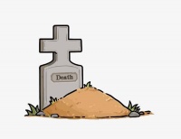 家里的猫猫狗狗去世了尸体如何处理？宠物火化殡葬服务你知道吗？