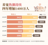 “毛孩子”的身后事：人们如何与爱宠体面道别？