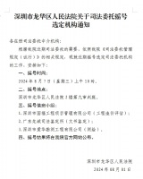 深圳市龙华区人民法院