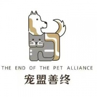 河北宠物火化,狗狗火化,宠物殡葬