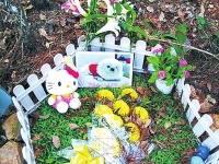 宠物殡葬业悄然兴起：价格不菲 可土葬可火化