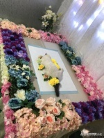 关于沈阳狗狗火化的一切，来这里了解火化殡葬知识！