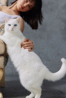 我们为什么离不开宠物？