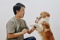 “狗德班”火爆下的驯犬师：他们训练狗，也给人上课