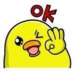 宠物犬的常见犬行为有哪几种，收藏！治疗宠物不良行为！