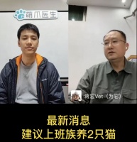 猫行为学专家：上班族养猫最好养两只，省心省事又省钱！咋回事？