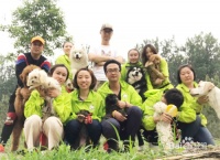 训犬师就业前景