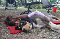 心理学：你会和你养的植物或者宠物对话吗？对话的人会更加聪明