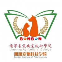 朋朋宠物科技学院
