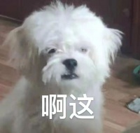 【涨知识】这些犬，北京禁养！