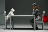 宠物心理学：人和狗狗相处的5个趣味研究