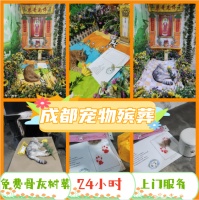 成都宠物猫猫狗狗火化殡葬丧葬安葬树葬服务