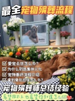 最全宠物殡葬流程