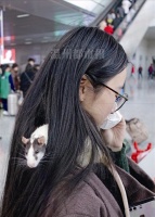 安检拦下宠物鼠，女生通融不成竟哭了 旅客频频丢包包，民警一天捡到十几个