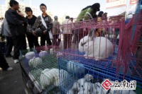 中国频道－中国日报看中国：时政、财经、评论、新闻、访谈、图片、论坛、地方特色、节会专题