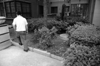 西安男子小区丢失“宠物蛇” 引居民恐慌