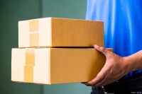 宠物蛇邮寄指南：安全、便捷地运输你的小家伙