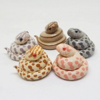 你为什么要养一条“冷血”的蛇当宠物？