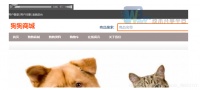 【全源码及文档】基于JAVA的宠物网站设计与实现