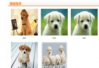 Java宠物网站系统的设计与实现