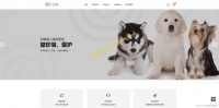 宠物服务网站的设计与实现