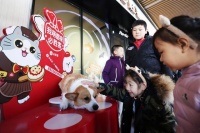 必胜客持续以“宠”探索公益，携手新京报小读者团关爱流浪动物