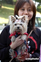 澳门举办“宠物慈善嘉年华”