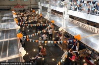 莫斯科宠物展览 倡导关爱流浪猫狗