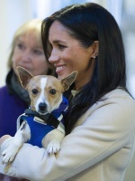 梅根参加慈善活动，竟然被吐槽是“胖女人”，1句话为自己解围