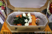 宠物离世如何处理，记者走访沈阳宠物殡葬处理中心
