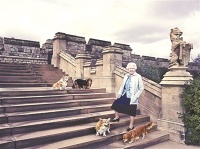 探秘英国宠物文化