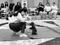 【浙江工人日报】温州科技职业学院举办 首届宠物文化节活动，倡导——宠爱有度 宠爱有法