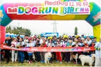 “红狗杯”人宠彩跑嗨翻北上广，2018胜利收官——中国青年网