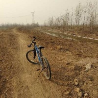 萌宠招募令 第四届南和宠物产业博览会暨首届南和宠物嘉年华直播节宠物展售、赛事发起萌宠招募！