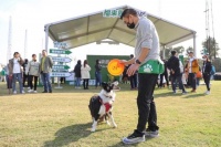 与爱犬默契值即刻拉满，狗巴迪勇士赛上海站开启