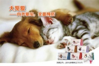 宠物驱虫药你选对了吗？看完这几点再选择