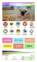 宠界app下载