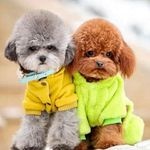 【图片】普安特宠物药科普：狗狗只需吃好住好？你关注过狗狗的心理健康吗【宠物狗吧】