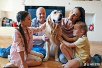 探秘宠物行业的发展趋势：机遇与挑战并存