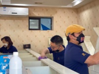 【深圳宠物活动服务咨询 信息推荐 尊宠宠物文化服务供应】批发