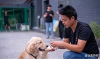 「蓝领故事」抓住行业浪潮：90后宠物训练师，助人与宠物良性对话