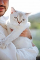 宠物驱虫药排行榜前十名