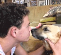 当代年轻人的心理咨询师，居然是猫狗？