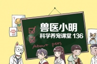 狗狗做完剖腹产，要不顺便做个绝育吧，小心得不偿失呀