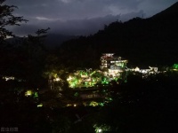 宠物旅游托运攻略